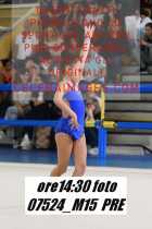 07524_M15-PRE
