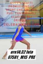 07581_M15-PRE