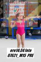07621_M15-PRE