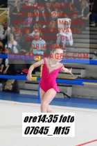 07645_M15-