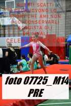 07725_M14-PRE