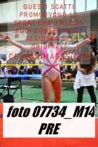 07734_M14-PRE