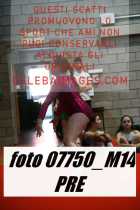 07750_M14-PRE