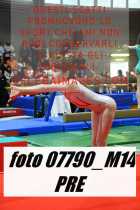 07790_M14-PRE