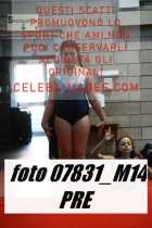 07831_M14-PRE