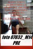 07832_M14-PRE
