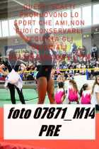 07871_M14-PRE