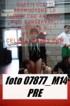 07877_M14-PRE