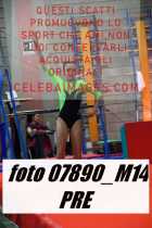07890_M14-PRE