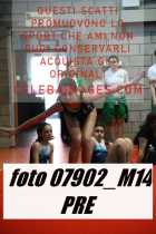 07902_M14-PRE