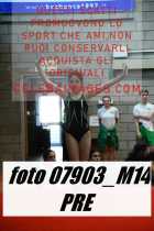 07903_M14-PRE
