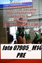 07905_M14-PRE
