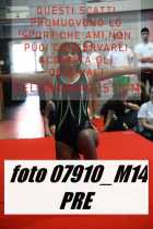 07910_M14-PRE