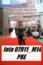 07911_M14-PRE