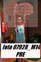 07928_M14-PRE