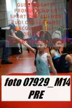 07929_M14-PRE