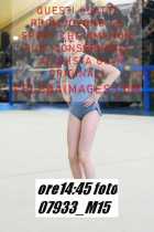 07933_M15-