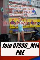 07936_M14-PRE