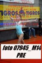 07945_M14-PRE