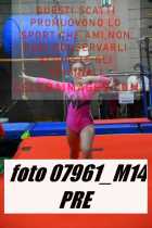 07961_M14-PRE