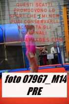 07967_M14-PRE