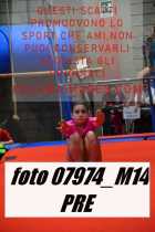 07974_M14-PRE