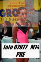 07977_M14-PRE