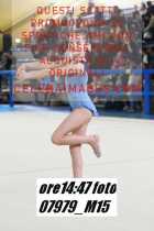 07979_M15-
