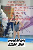 07988_M15-