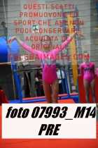 07993_M14-PRE