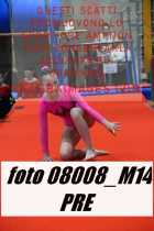 08008_M14-PRE