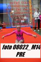 08022_M14-PRE