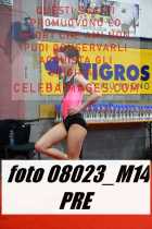 08023_M14-PRE