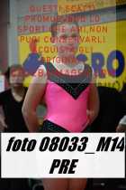 08033_M14-PRE