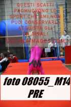 08055_M14-PRE