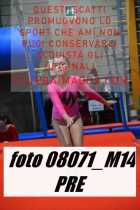 08071_M14-PRE