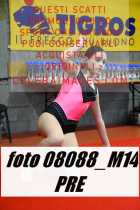 08088_M14-PRE