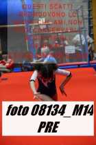 08134_M14-PRE
