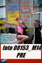 08153_M14-PRE