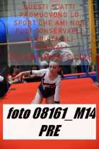 08161_M14-PRE