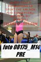 08175_M14-PRE