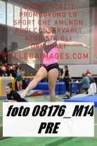 08176_M14-PRE