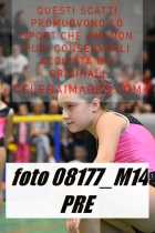 08177_M14-PRE
