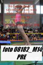 08182_M14-PRE