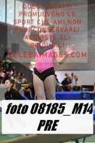 08185_M14-PRE