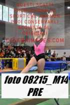 08215_M14-PRE