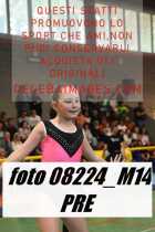 08224_M14-PRE