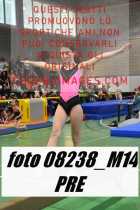 08238_M14-PRE