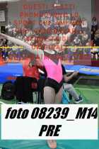 08239_M14-PRE