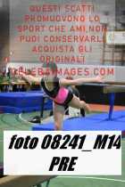 08241_M14-PRE